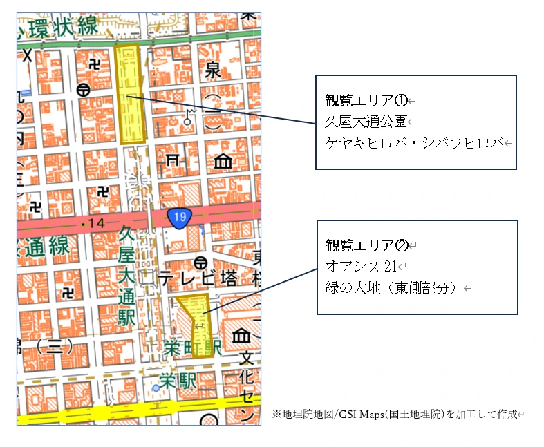久屋大通公園周辺の観覧エリア図。観覧エリア①は久屋大通公園のケヤキヒロバ・シバフヒロバ、観覧エリア②はオアシス21の緑の大地（東側部分）。