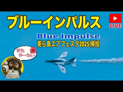 美ら島エアフェスタ2025 ブルーインパルス帰投ライブ2025.12.15【山口かおり】 のサムネイル
